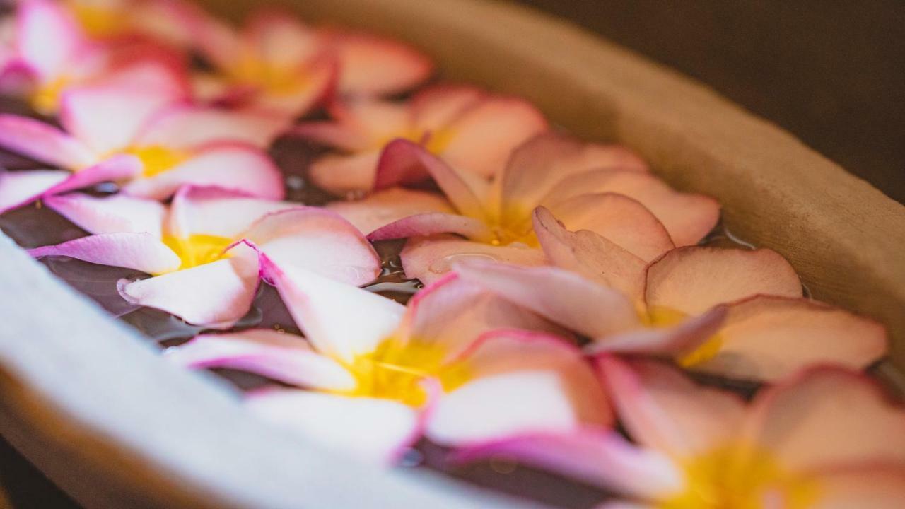Ayur Ayur & Ayurveda Retreat
